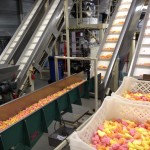 DoorZetters beklimmen transportband DoorZetters beklimmen transportband